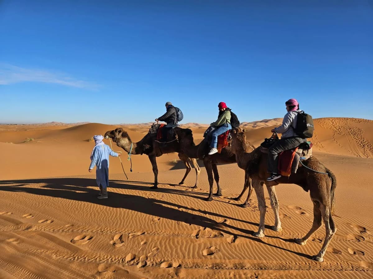Camel ride across the Erg Chebbi dunes during a 4 day desert tour from Marrakech to Merzouga